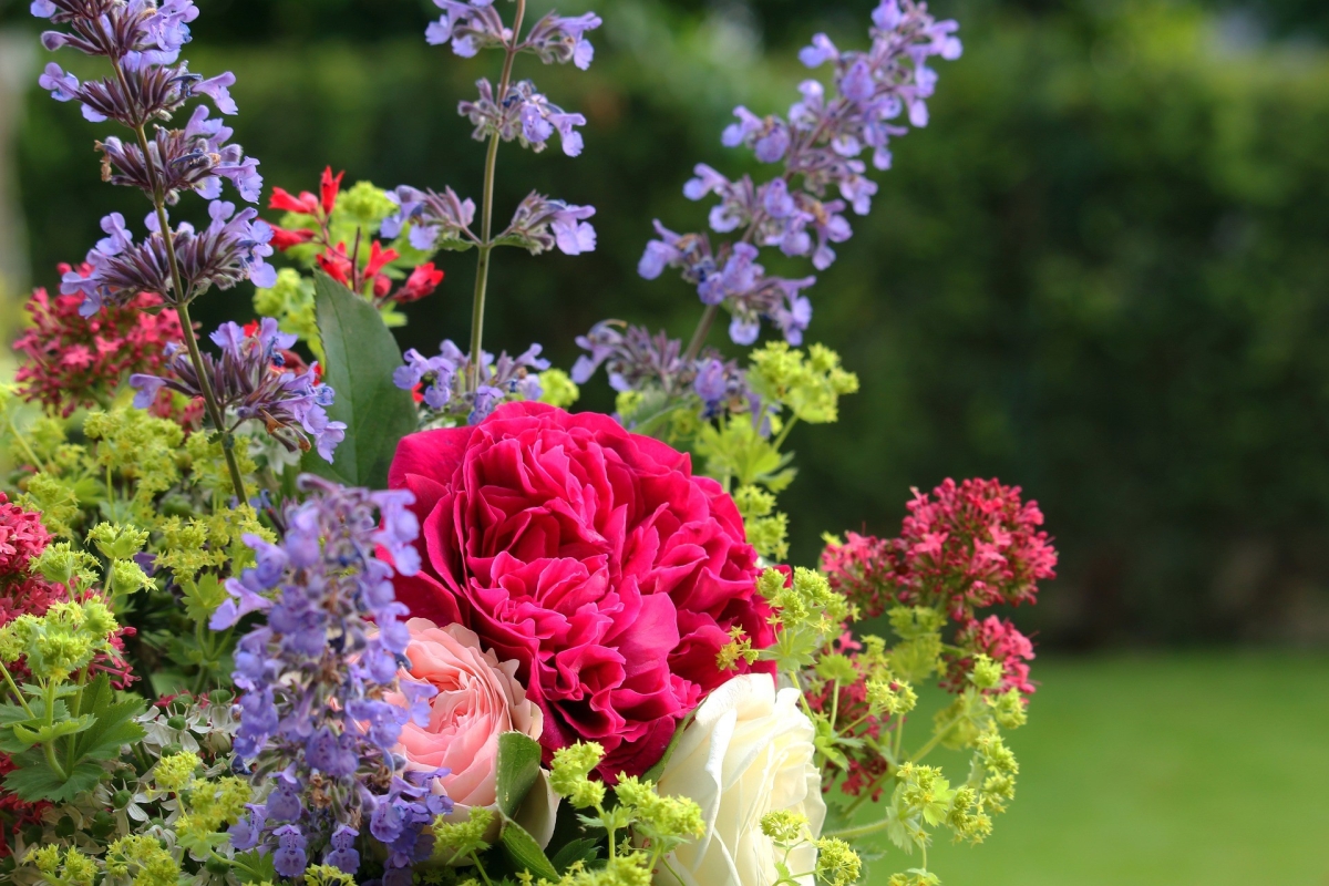 Ätherische Eigenschaften von Pflanzen - wie kann man sich mit natürlichen Mitteln gegen Mücken und Schädlinge schützen?