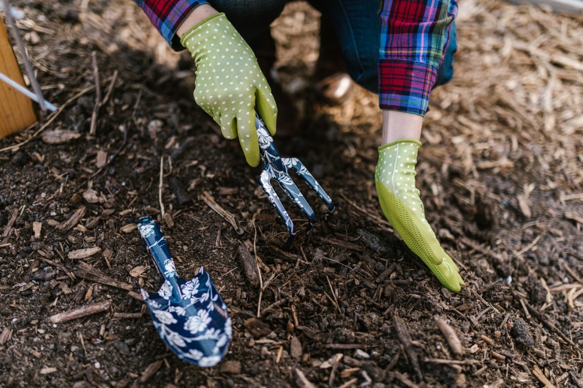 Die ersten Gartenarbeiten im Frühling - wie bereitet man den Garten auf die neue Saison vor?