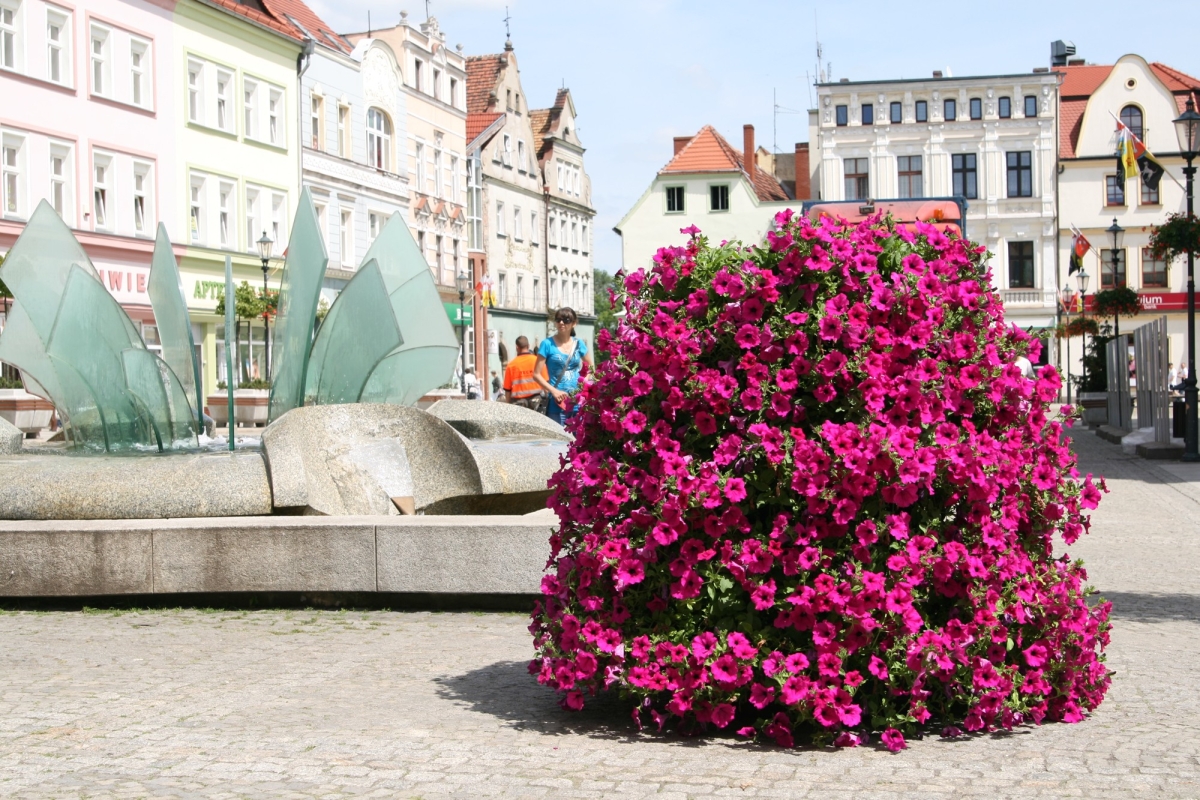 Kaskaden-Blumenständere