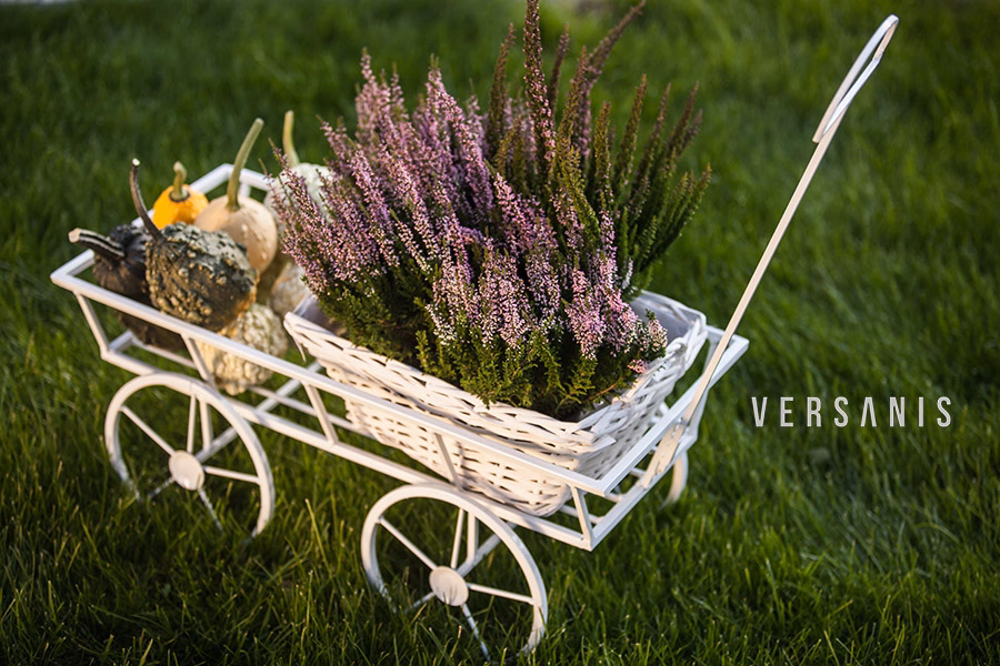 Blumenwagen Metall » Online kaufen | Versanis