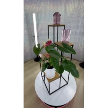 4-stufiger Blumenständer. Blumenständer Modell:498