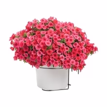 Balkonblumenhalter - Ø Modell:267
