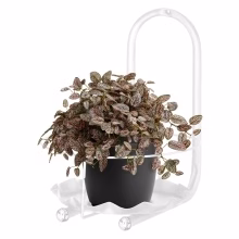 Blumenbeet für einen Modell:120