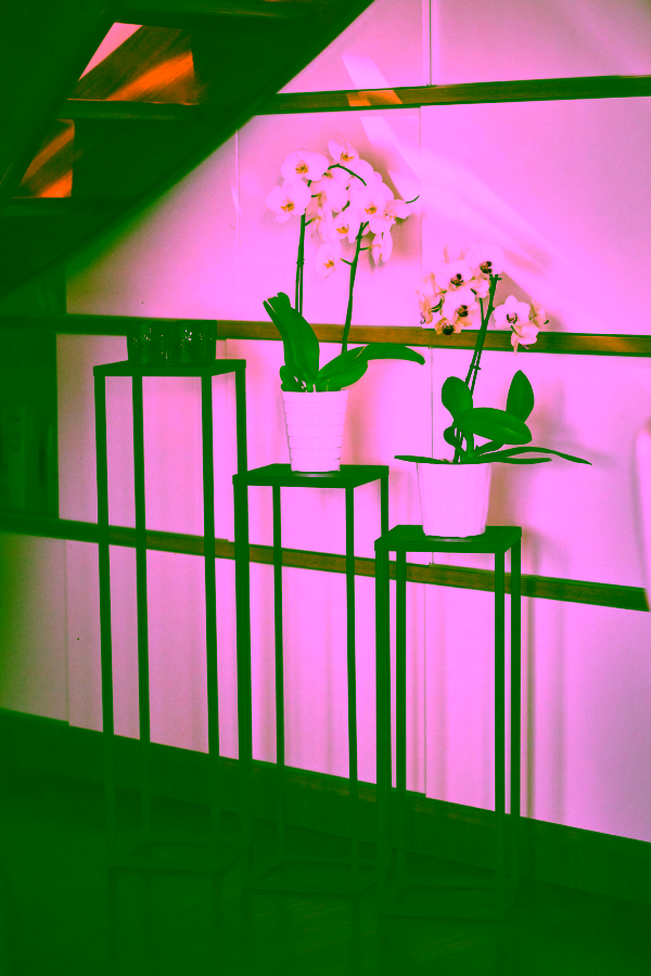 Multifunktionsst&auml;nder mit Ablage 80 - Inneneinrichtung