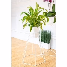 Blumenständer aus Metall. Modell:557