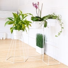 Blumenständer aus Metall. Modell:557