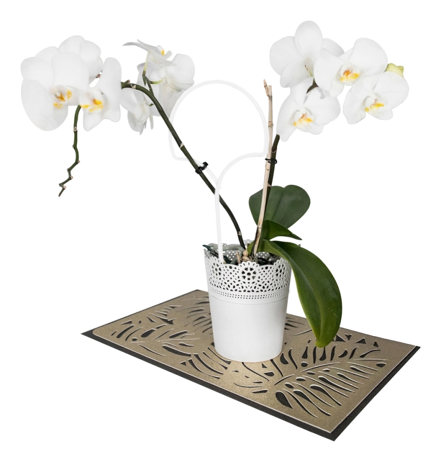 Blumen Unterst&uuml;tzung - Ginkgo