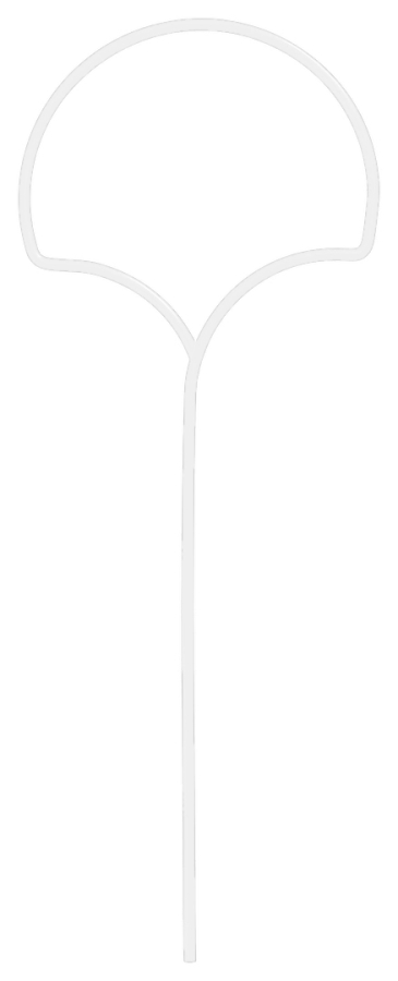 Blumen Unterst&uuml;tzung - Ginkgo