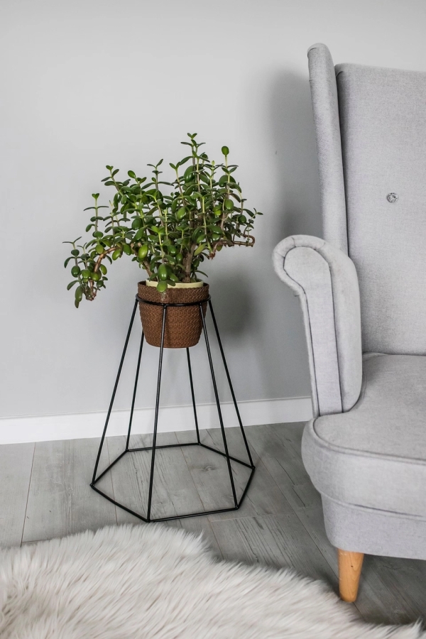 Blumenständer aus Metall Modell:557