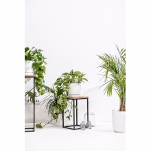 Blumenständer. Einzelnes Podest Modell:648