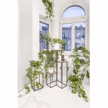 Blumenständer. Einzelnes Podest Modell:648