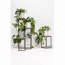 Blumenständer. Einzelnes Podest Modell:648