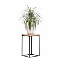 Blumenständer. Einzelnes Podest Modell:648