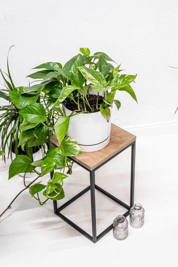 Pflanzen Podest – Blumenhocker aus Metall mit Holzplatte
