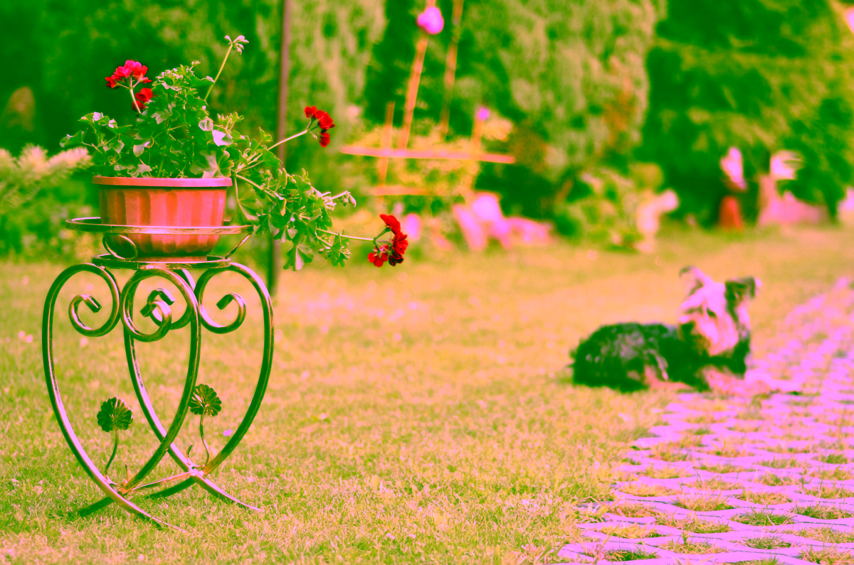 Blumenständer Metall Herzform Modell:160