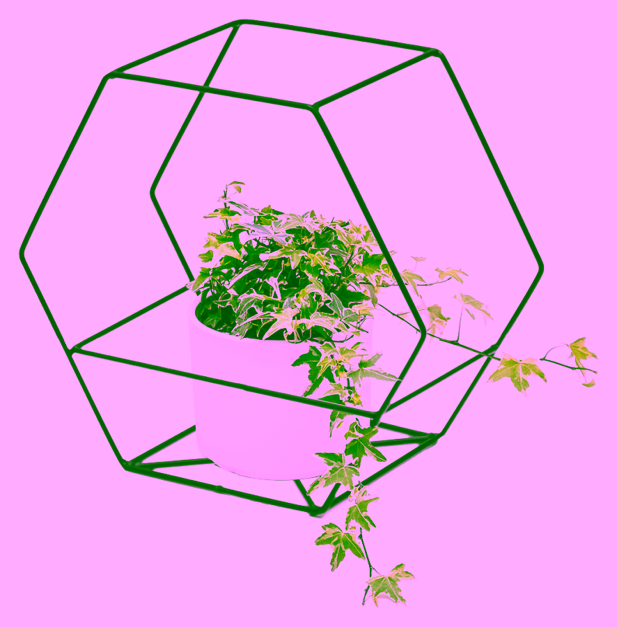 Drahtwandflorist - SLICE