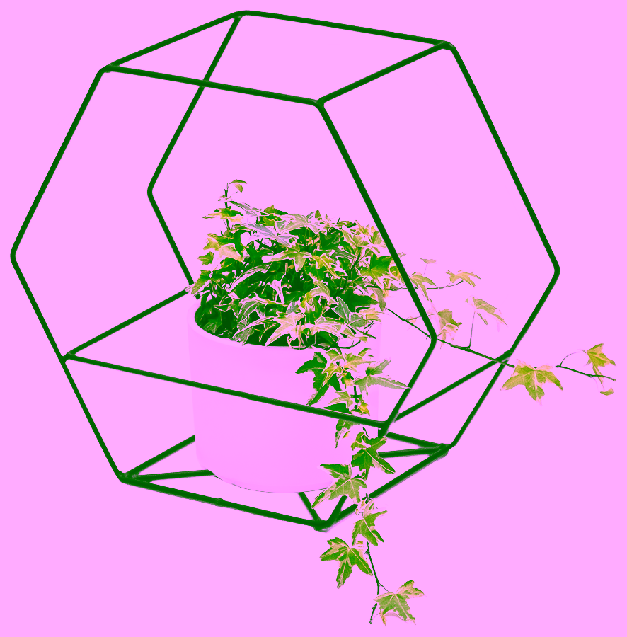 Drahtwandflorist - SLICE