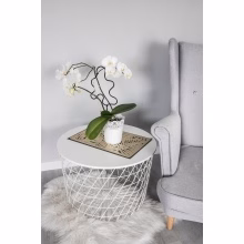 Blumenstütze. Metall-Pflanzenstütze KLEKS Modell:549