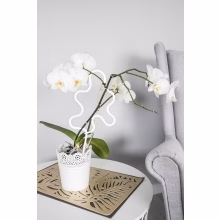 Blumenstütze. Metall-Pflanzenstütze KLEKS Modell:549