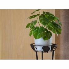 Blumentreppe aus Metall Modell:130A