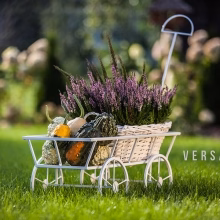 Blumenwagen Metall Modell:46