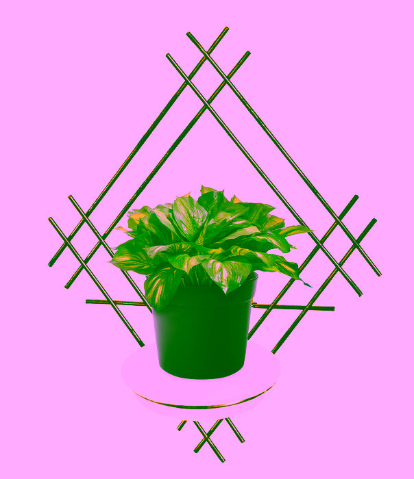 Blumenwandhalter Stahl mit Modell:82