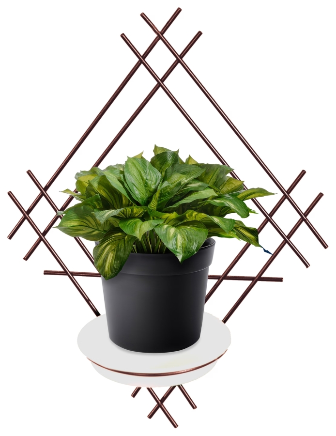 Blumenwandhalter Stahl mit Modell:82