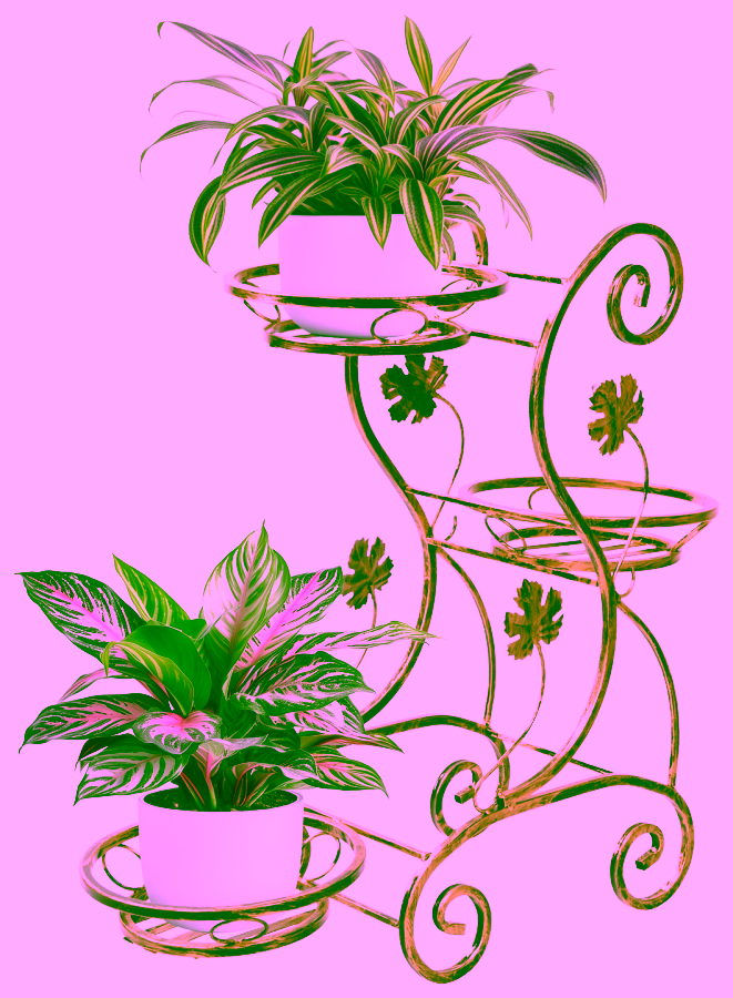 Dekoratives Blumenbeet für drei Pflanzen