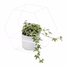 Drahtwandflorist - SLICE Modell:566