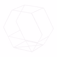 Drahtwandflorist - SLICE Modell:566