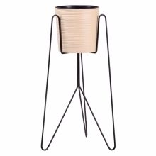 Einzelnes Blumenbeet aus Modell:521