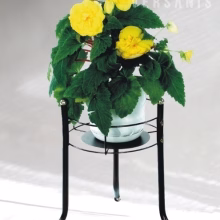 Einzelnes Blumenbeet aus Modell:1A