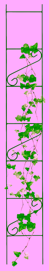 Hohe Stütze für Pflanzen und Sträucher - 180 cm.