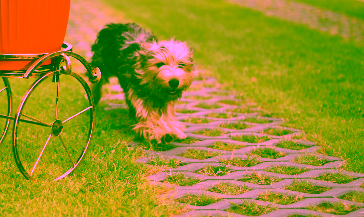 Kleines Blumenfahrrad aus Modell:134