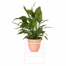 Mehrzweck-Blumenbeet - KOSTKA Modell:565