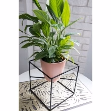 Mehrzweck-Blumenbeet - KOSTKA Modell:565