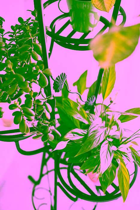 Metall Blumenständer 7 Modell:68