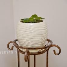 Metallblumenbeet - größere Modell:418