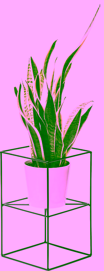 Pflanzenständer für eine Pflanze. Freistehender Drahtblumenständer – 40 cm.