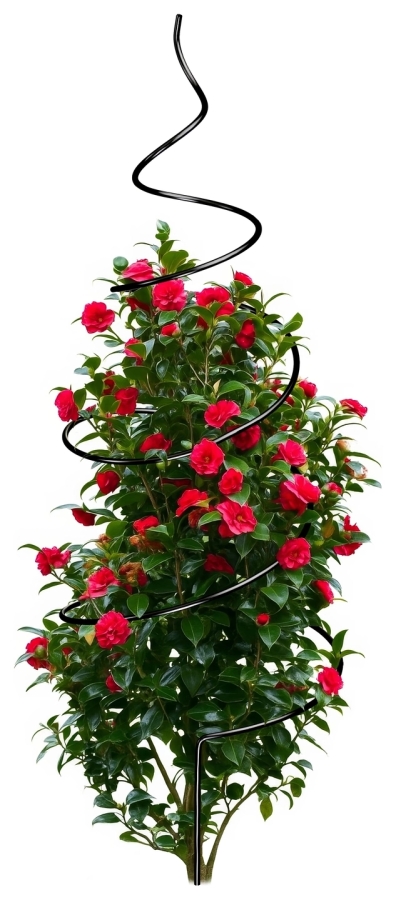 Rankhilfe Spirale Metall Modell:409