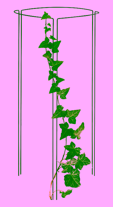 Rankhilfe Stahl Modell:323