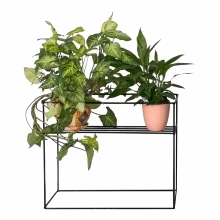 Rechteckiges Drahtblumenbeet - Modell:569