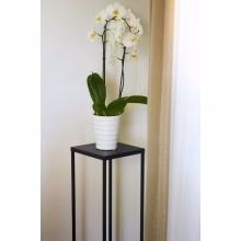 Stehendes Blumenbeet aus Modell:626