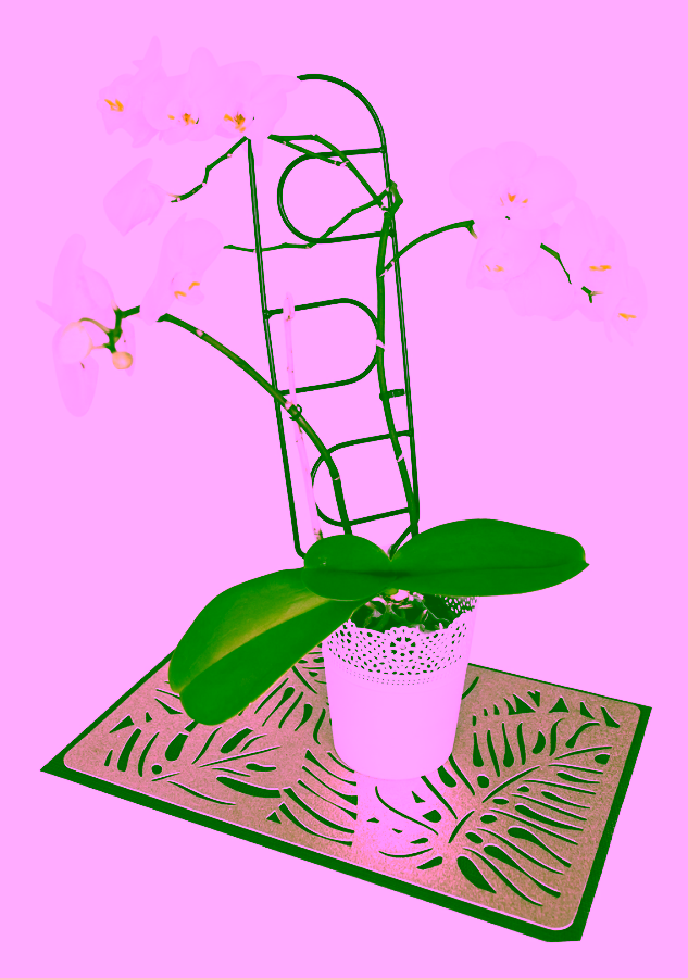 Stütze für Pflanzen und Sträucher - WIESE