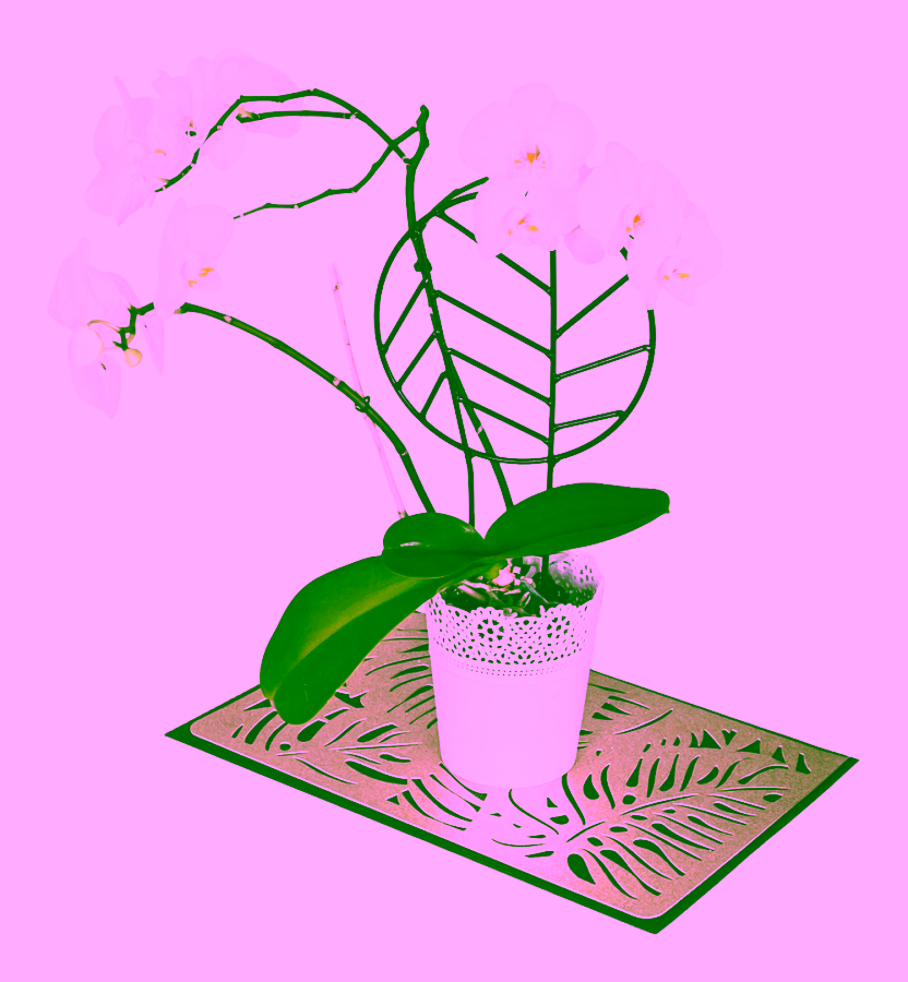 Stütze für Topfpflanzen - AZUR