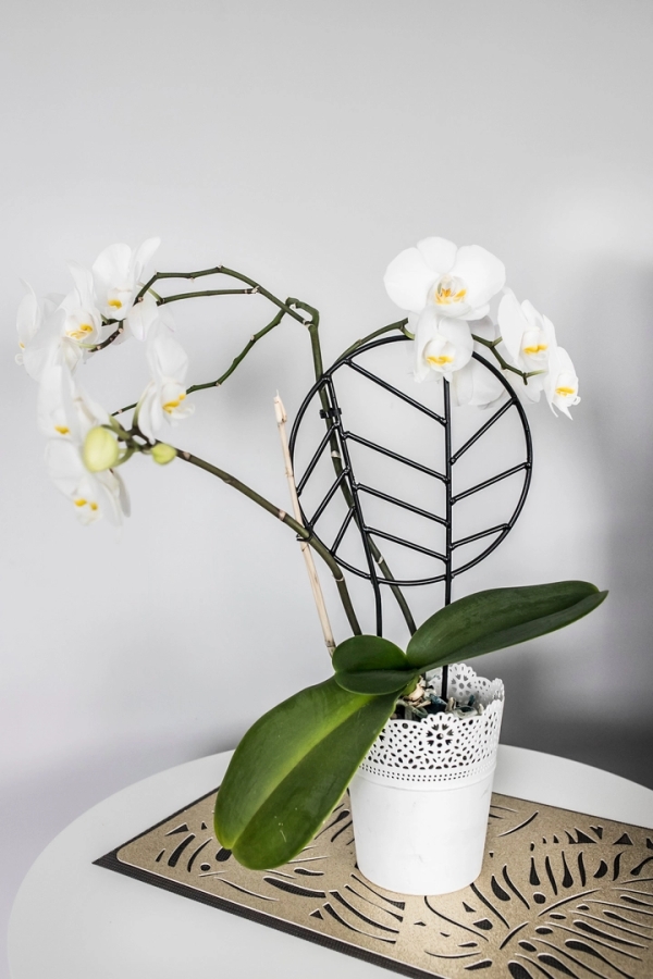 Blumen Unterst&uuml;tzung - Durchbrochen