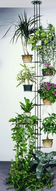 Blumenst&auml;nder Farbe (273cm)
