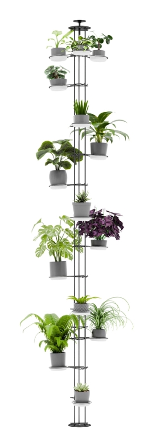 Blumenst&auml;nder Farbe (273cm)
