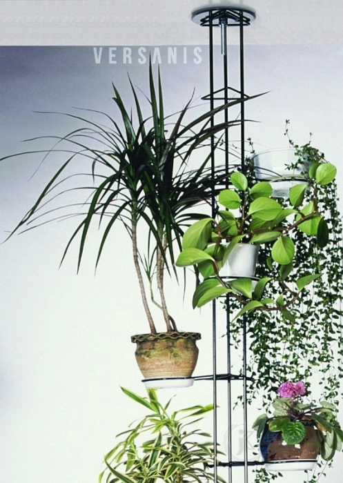 Blumenst&auml;nder Farbe (273cm)