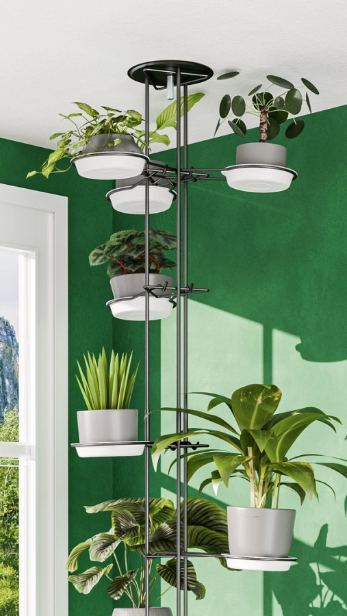 Blumenst&auml;nder Farbe (273cm) - Inneneinrichtung
